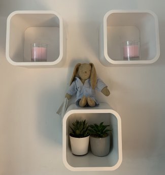 Pflanzen im Kinderzimmer für bessere Luftqualität